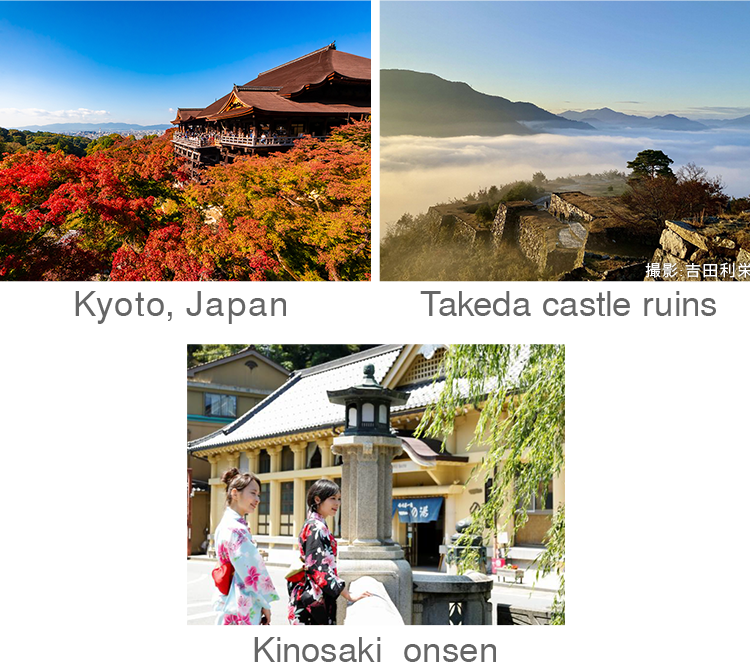 Kyoto,Takeda castle ruins,Kinosakionsen